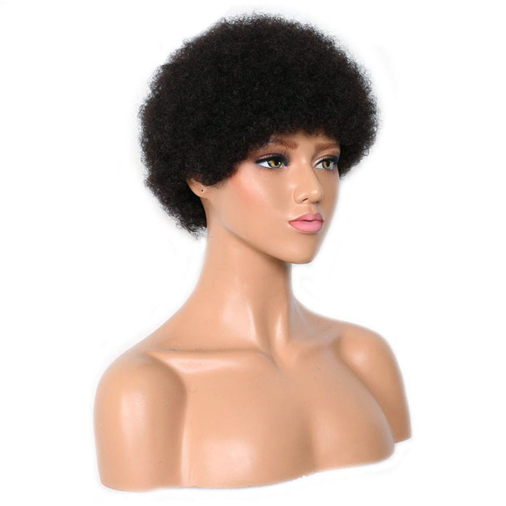 Viviabella Curly Fluffy Explosion Short Human Hair Wig Natural Black Afro kinky Curly Human Hair Wigs for Black Women