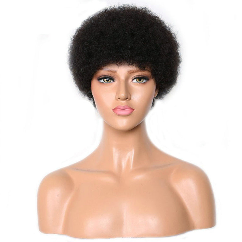 Viviabella Curly Fluffy Explosion Short Human Hair Wig Natural Black Afro kinky Curly Human Hair Wigs for Black Women