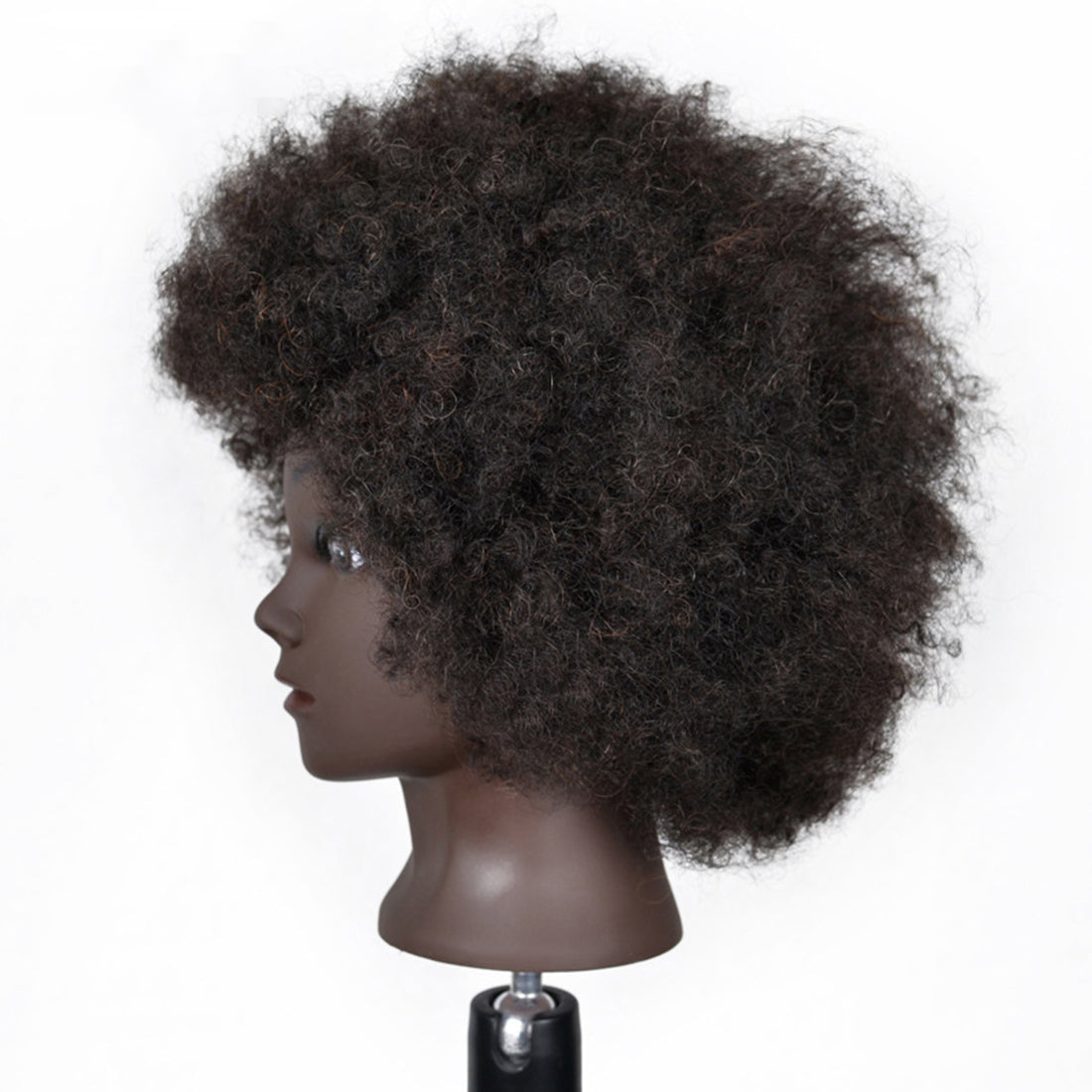 headdoll Afro Curly Mannequin Head with 100% Human Hair Curly Hair  Hairdresser Hair Styling Cosmetology Manikin Head Doll head for Hairdresser